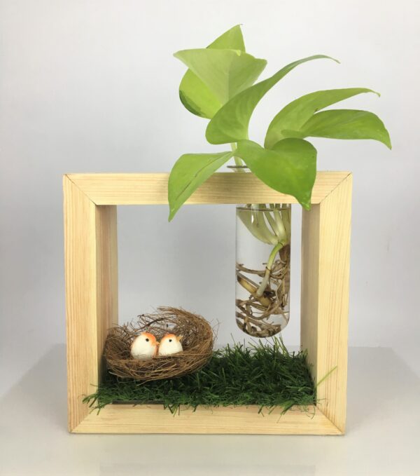 Levitating test tube hydroponic planter