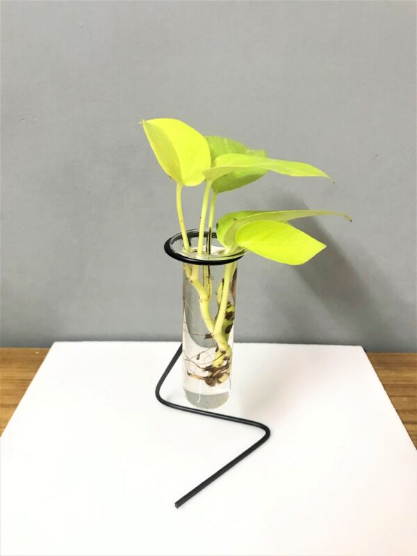 Z planter_Metal